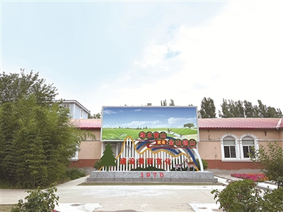 鍋爐水冷壁防磨經緯網格柵業績案例:河北省滄州某化工企業